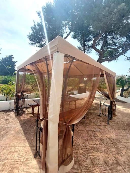 Trulli Pasquina Διαμέρισμα Μαρτίνα Φράνκα Εξωτερικό φωτογραφία